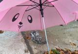 В Вологодской области дети спасли совёнка: малыша оберегали под зонтиком до приезда спасателей