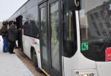 Бесплатные автобусы будут возить вологжан в новогоднюю ночь (РАСПИСАНИЕ)