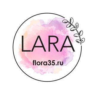 Lara, Вологда