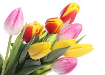 Россиянам предложили варианты возврата средств за подаренные цветы к 8 Марта