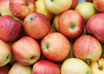Врач объяснила, зачем в день съедать 1−2 яблока