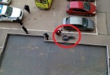Появились подробности трагедии на Преминина: опубликовано шокирующее видео с места ЧП