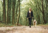 Как правильно выгуливать собаку: советы кинолога