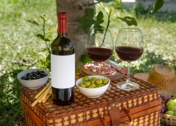 Какое вино помогает переваривать шашлык