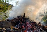 Правила использования открытого огня для приготовления пищи, сжигания мусора, травы, листвы