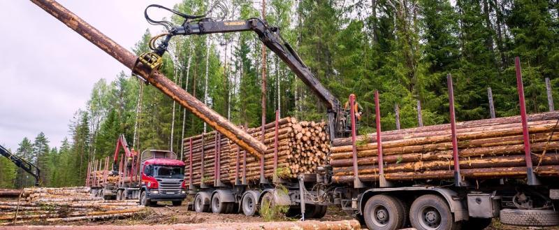  Группа компаний «Вологодские лесопромышленники» Вконтакте