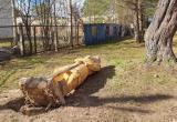 Неизвестные хулиганы уронили символ русской воинской доблести в Вологодской области
