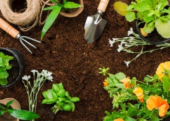 Спасаем рассаду от заморозков: советы садовода