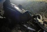 В Вологодской области мертвый лось отомстил за убитых водителями собратьев