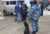 Фото: пресс-служба УМВД России по Вологодской области