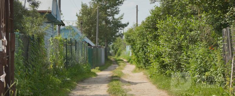 Фото Тимура Бойкова/Вологда-Поиск