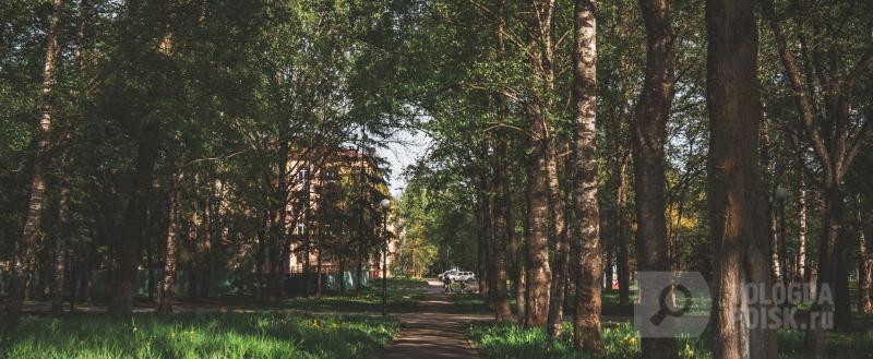 Фото Тимура Бойкова/Вологда-Поиск