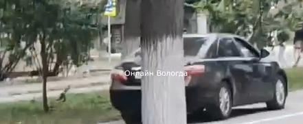 Принтскрин с видео группы 