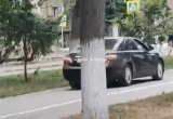 Принтскрин с видео группы "Онлайн Вологда"