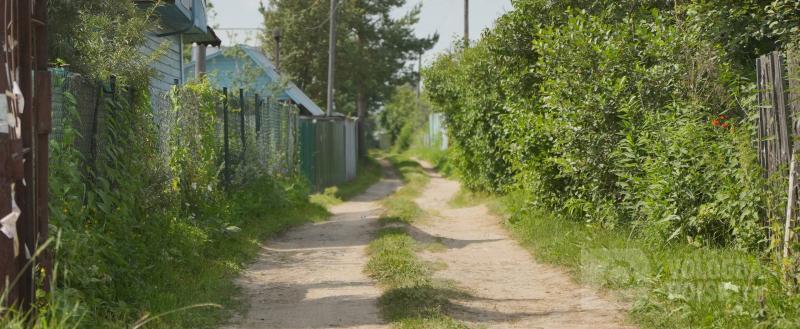 Фото Тимура Бойкова/Вологда-Поиск