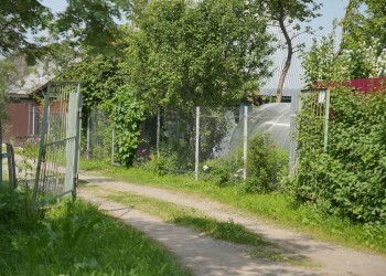 Что можно посеять в огороде на зиму?