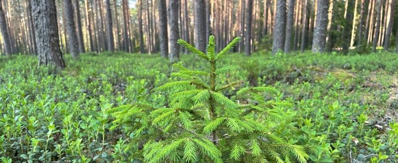 Фото пресс-службы правительства Вологодской области