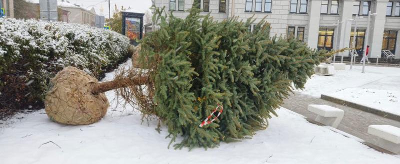 Департамент городского хозяйства ТГ