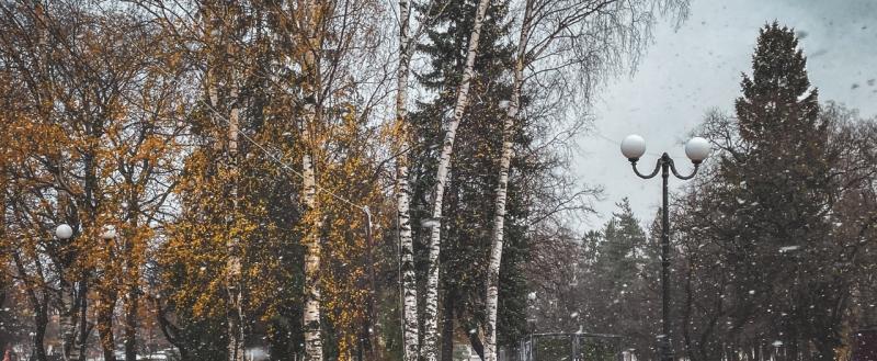 Тимур Бойков, Vologda-poisk.ru