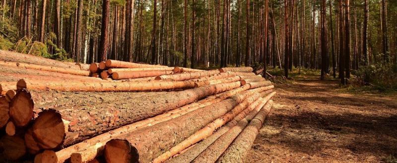 Фото пресс-службы правительства Вологодской области