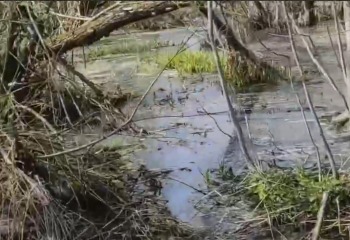 Купить Квартиру В Шухободь Череповецкий Район