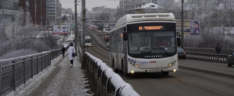 Фото: Геннадий Хабаров/ Вологда-Поиск