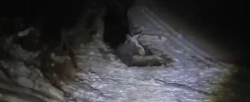 скриншот видео МЧС по Вологодской области