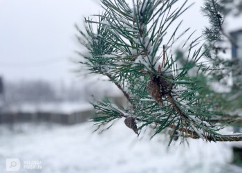 Почему зимой мы набираем вес?