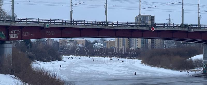 Фото Тимура Бойкова/Вологда-Поиск