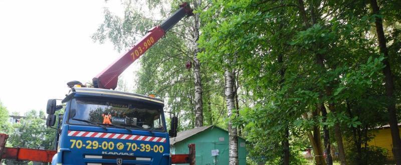 «Ночь длинных ковшей» продолжается в Вологде: «самострой» уничтожают с удвоенным задором