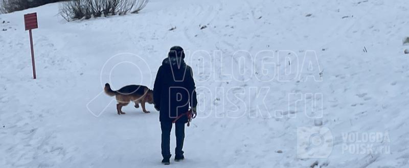 Фото Тимура Бойкова/Вологда-Поиск