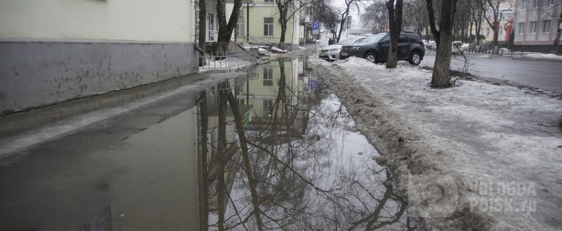 Фото Никиты Трушкова/Вологда-Поиск