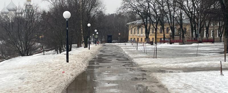 Фото Тимура Бойкова/Вологда-Поиск