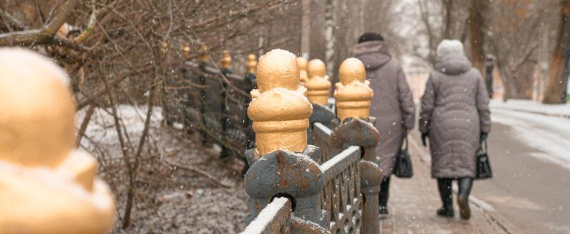 Фото Тимура Бойкова/Вологда-Поиск