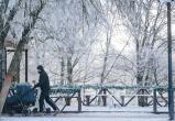 Фото Тимура Бойкова/Вологда-Поиск