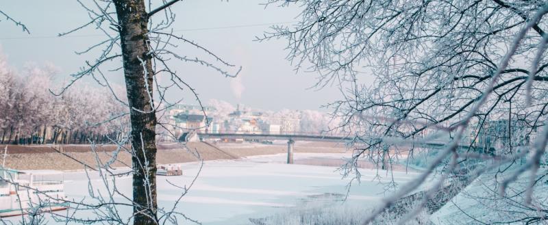 Тимур Бойков, Vologda-poisk.ru