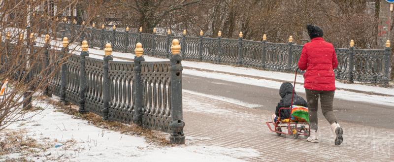 Фото Тимура Бойкова/Вологда-Поиск