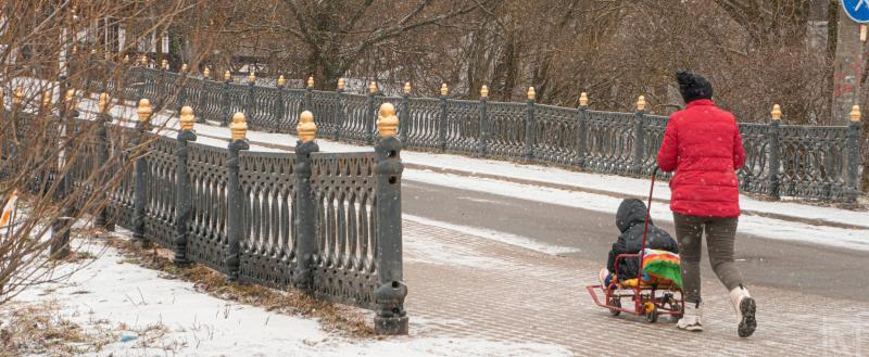 Фото Тимура Бойкова/Вологда-Поиск