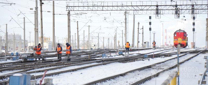 Фото Тимура Бойкова/Вологда-Поиск
