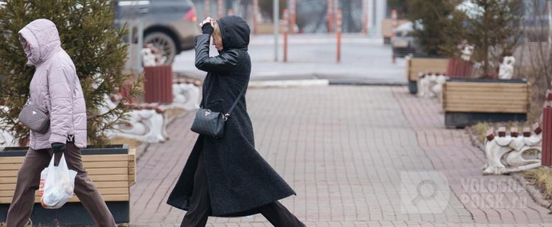 Фото Тимура Бойкова/Вологда-Поиск