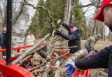 Фото пресс-службы правительства Вологодской области