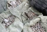 чат Вологодского округа ВК чат Вологодского округа ВК
