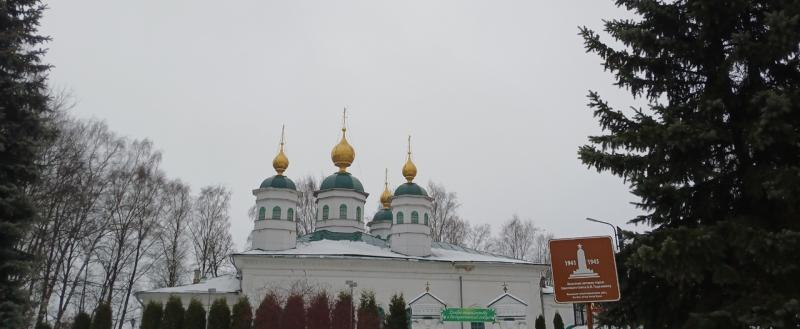 Никита Трушков, Vologda-Poisk.ru