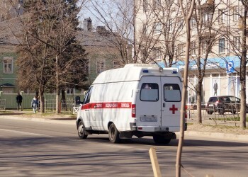 Что делать при укусе гадюки? Что делать при укусе гадюки?