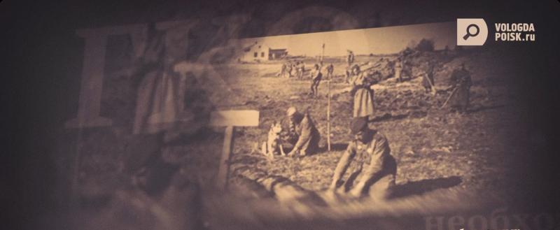 Главная опасность послевоенного времени: молодые саперы в минных лабиринтах на Вологодчине