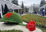 Фото Вологда-Поиск Фото Вологда-Поиск