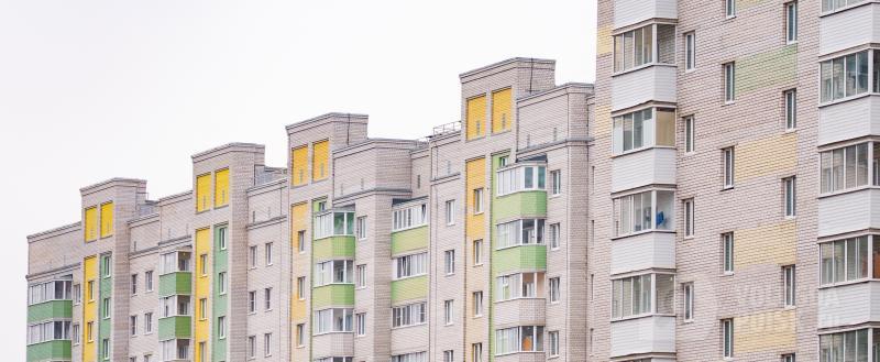 Фото Тимура Бойкова/Вологда-Поиск
