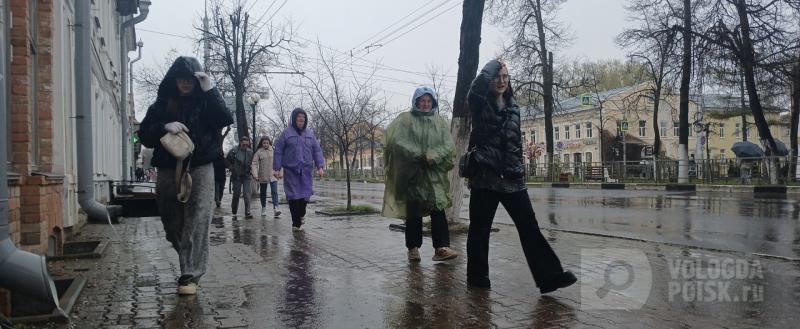 Фото Никиты Трушкова/Вологда-Поиск