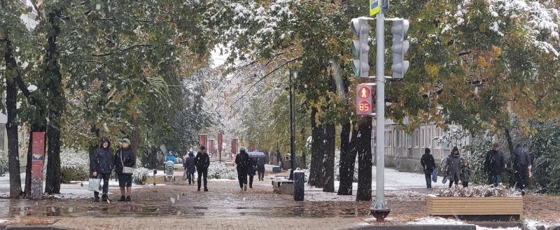 Елена Литвинова, Vologda-poisk.ru