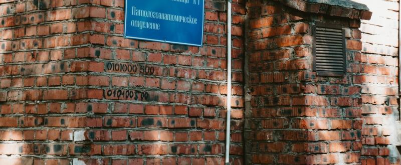 Фото Тимура Бойкова/Вологда-Поиск